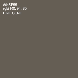 #645E55 - Pine Cone Color Image